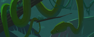Jungle break