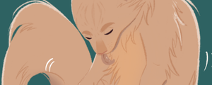 Itchy’nScratchy
